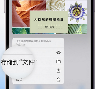 毛感乡apple维修中心分享iPhone文件应用中存储和找到下载文件