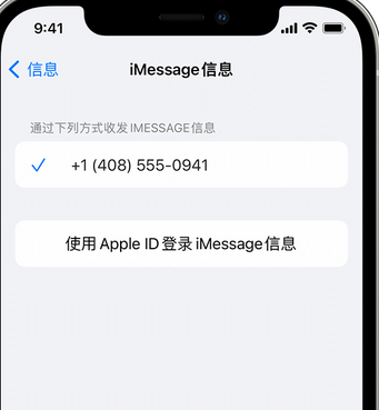 毛感乡apple维修iPhone上无法正常发送iMessage信息