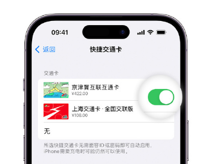 毛感乡apple维修点分享iPhone上更换Apple Pay快捷交通卡手绘卡面 