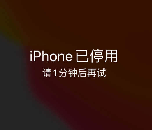 毛感乡苹果手机维修分享:iPhone 显示“不可用”或“已停用”怎么办？还能保留数据吗？ 