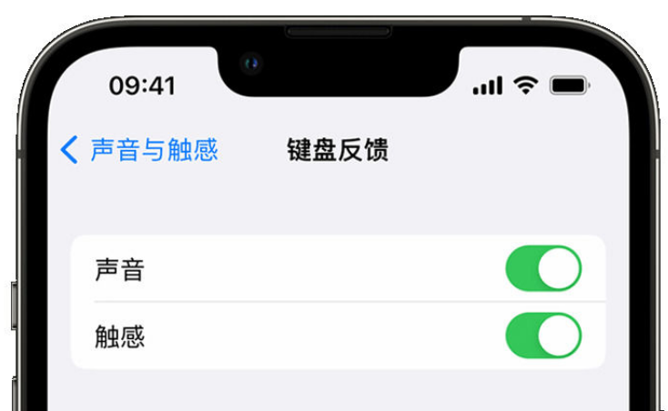 毛感乡苹果手机维修分享iPhone 14触感键盘使用方法 