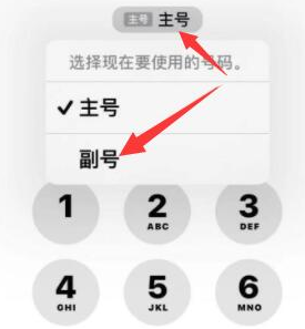 毛感乡苹果14维修店分享iPhone 14 Pro Max使用副卡打电话的方法 