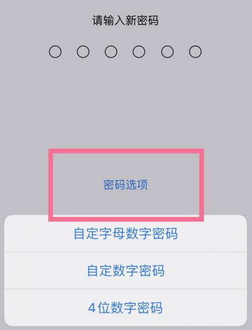 毛感乡苹果14维修分享iPhone 14plus设置密码的方法 