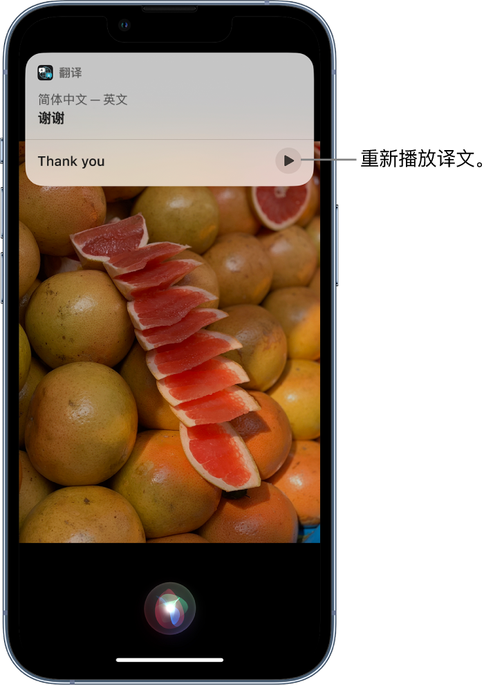 毛感乡苹果14维修分享 iPhone 14 机型中使用 Siri：了解 Siri 能帮你做什么 