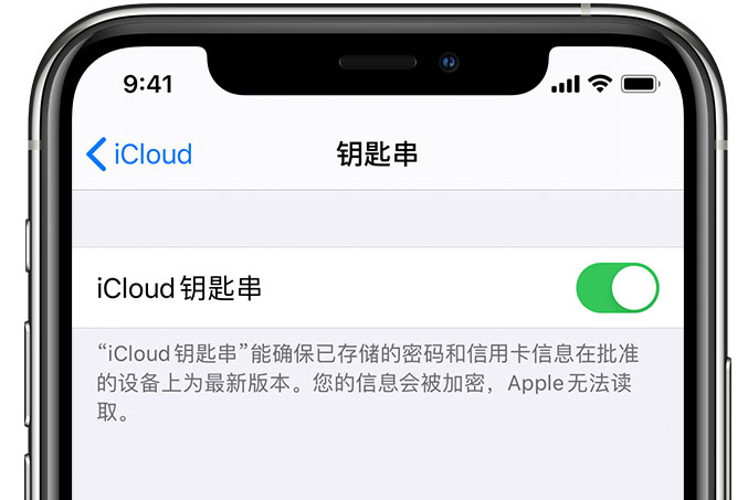 毛感乡苹果手机维修分享在 iPhone 上开启 iCloud 钥匙串之后会储存哪些信息 