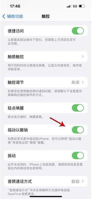 毛感乡苹果手机维修分享iPhone手机如何设置摇一摇删除文字 